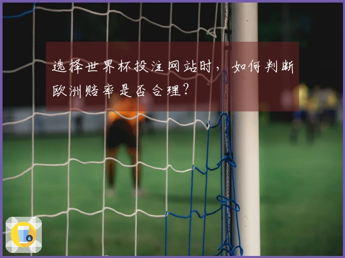 选择世界杯投注网站时，如何判断欧洲赔率是否合理？