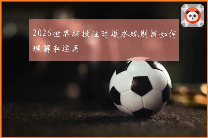 2026世界杯投注时返水规则该如何理解和运用