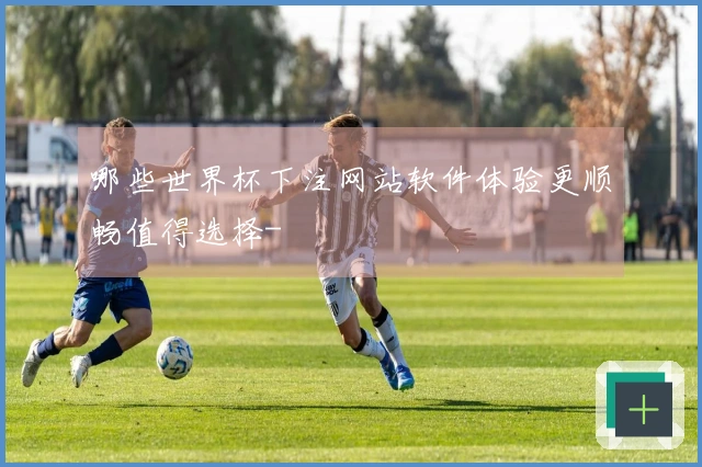 哪些世界杯下注网站软件体验更顺畅值得选择-