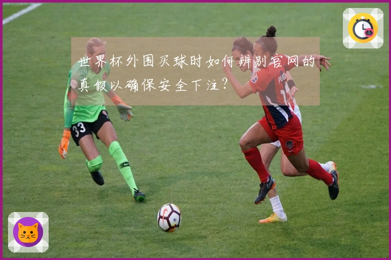 世界杯外围买球时如何辨别官网的真假以确保安全下注？