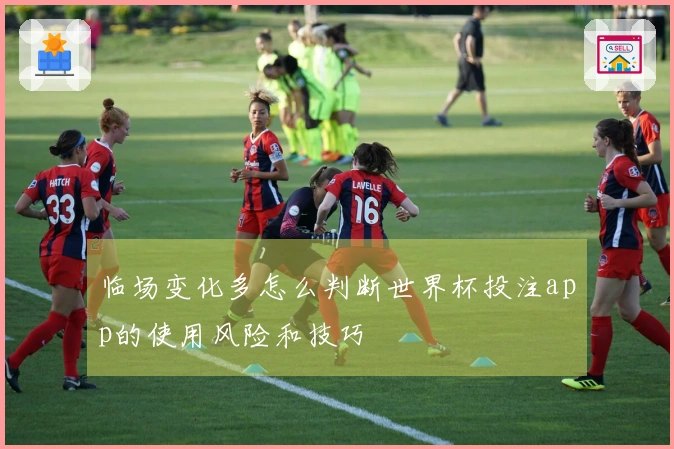 临场变化多怎么判断世界杯投注app的使用风险和技巧