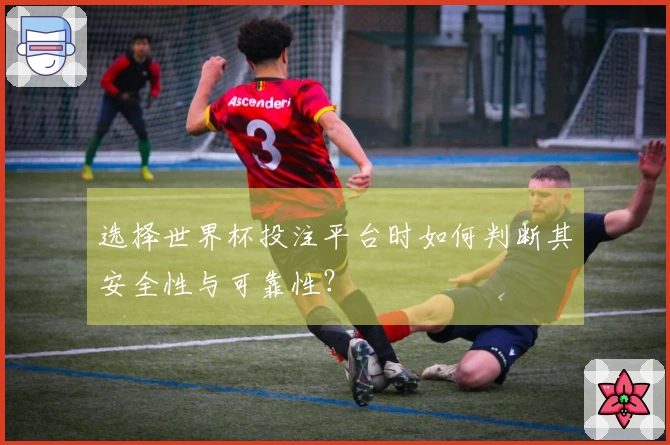 选择世界杯投注平台时如何判断其安全性与可靠性？