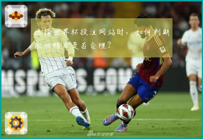 选择世界杯投注网站时，如何判断欧洲赔率是否合理？