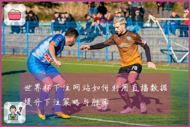 世界杯下注网站如何利用直播数据提升下注策略与胜率