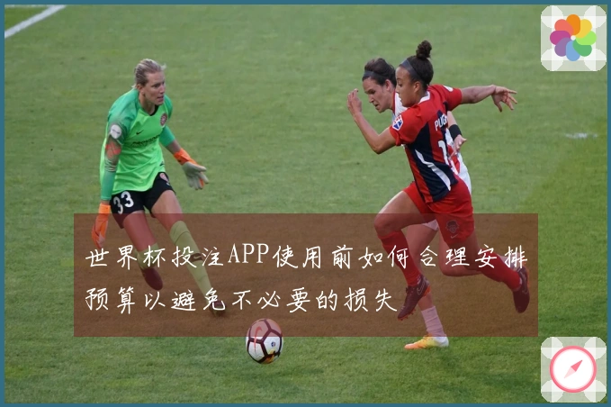 世界杯投注APP使用前如何合理安排预算以避免不必要的损失