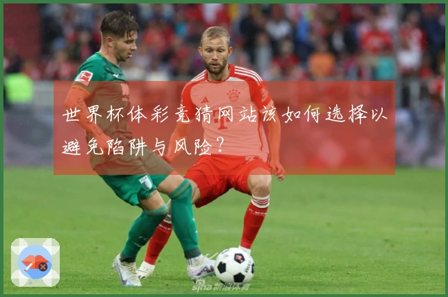 世界杯体彩竞猜网站该如何选择以避免陷阱与风险？