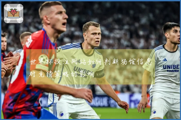 世界杯投注网站如何判断场馆信息对竞猜策略的影响