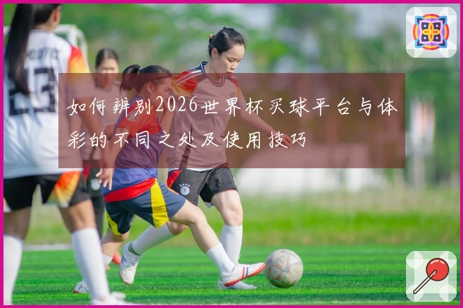 如何辨别2026世界杯买球平台与体彩的不同之处及使用技巧