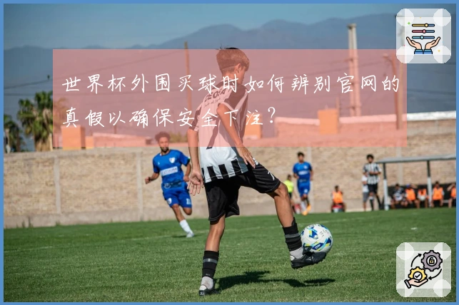世界杯外围买球时如何辨别官网的真假以确保安全下注？