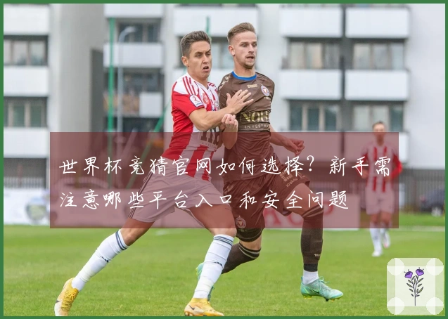 世界杯竞猜官网如何选择？新手需注意哪些平台入口和安全问题