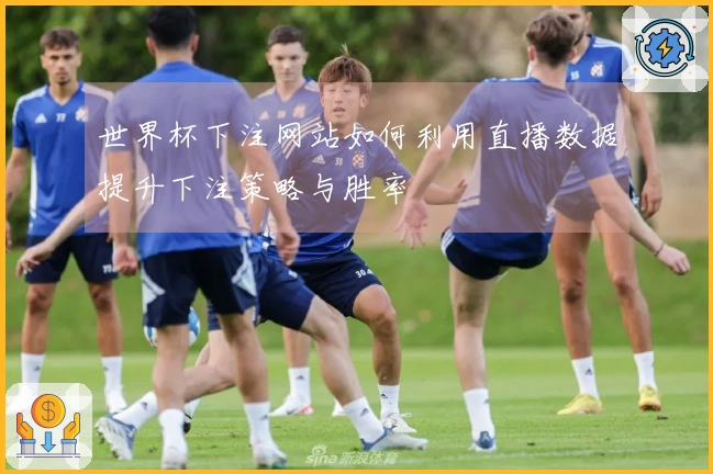 世界杯下注网站如何利用直播数据提升下注策略与胜率