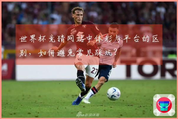 世界杯竞猜网站中体彩与平台的区别，如何避免常见踩坑？