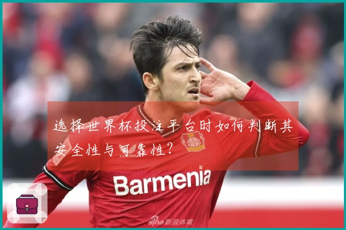 选择世界杯投注平台时如何判断其安全性与可靠性？