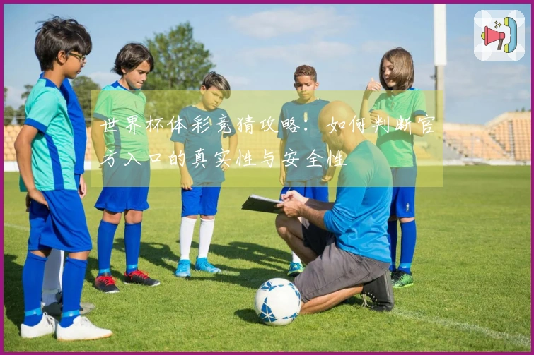 世界杯体彩竞猜攻略：如何判断官方入口的真实性与安全性