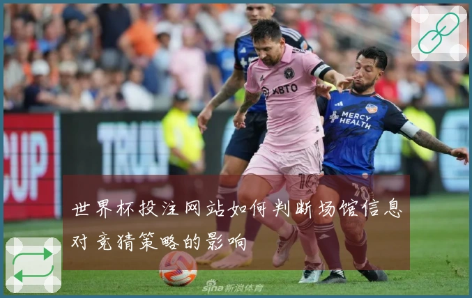 世界杯投注网站如何判断场馆信息对竞猜策略的影响
