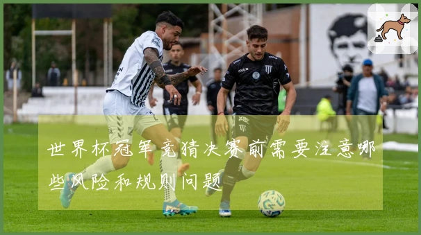 世界杯冠军竞猜决赛前需要注意哪些风险和规则问题
