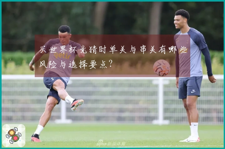 买世界杯竞猜时单关与串关有哪些风险与选择要点？