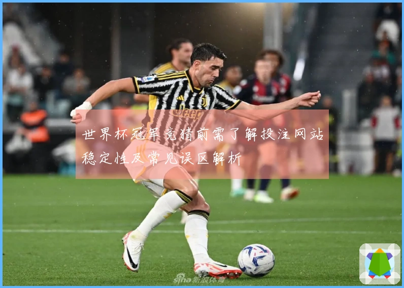 世界杯冠军竞猜前需了解投注网站稳定性及常见误区解析