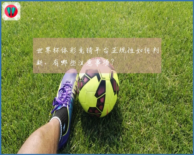世界杯体彩竞猜平台正规性如何判断，有哪些注意事项？