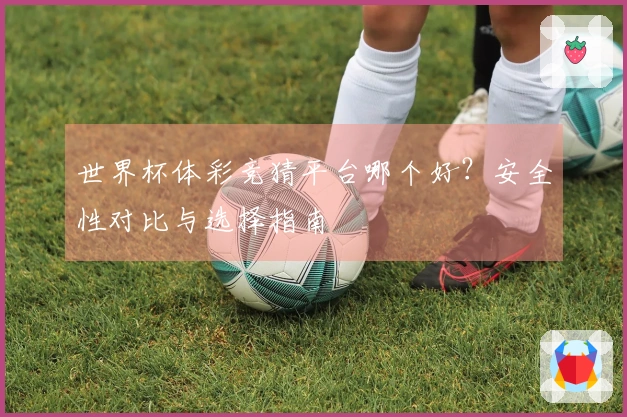 世界杯体彩竞猜平台哪个好？安全性对比与选择指南
