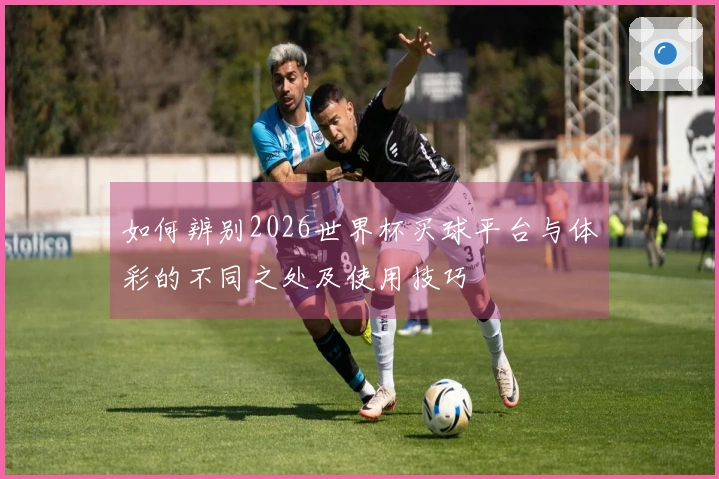 如何辨别2026世界杯买球平台与体彩的不同之处及使用技巧