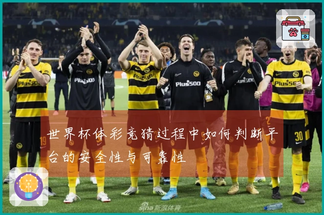 世界杯体彩竞猜过程中如何判断平台的安全性与可靠性