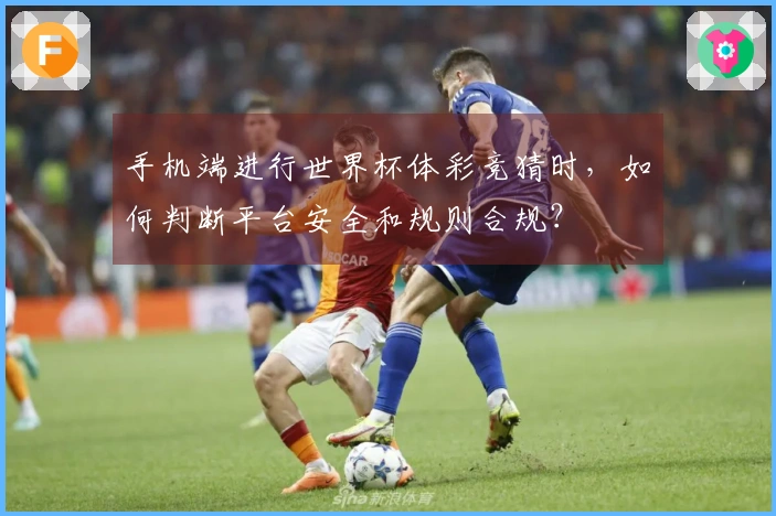 手机端进行世界杯体彩竞猜时，如何判断平台安全和规则合规？