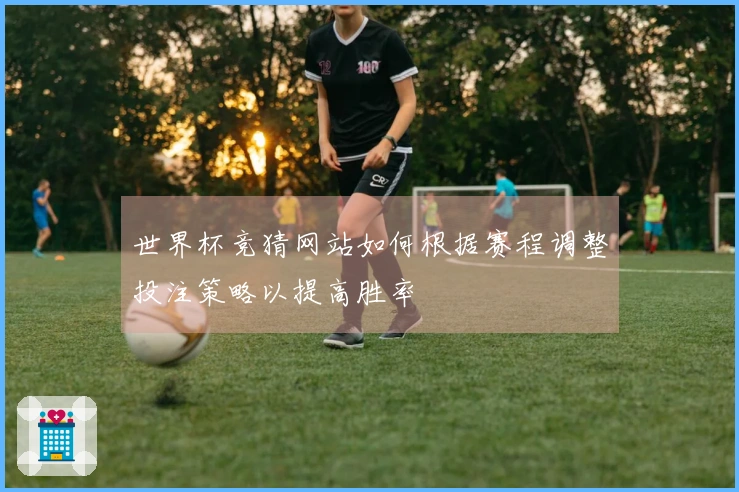 世界杯竞猜网站如何根据赛程调整投注策略以提高胜率