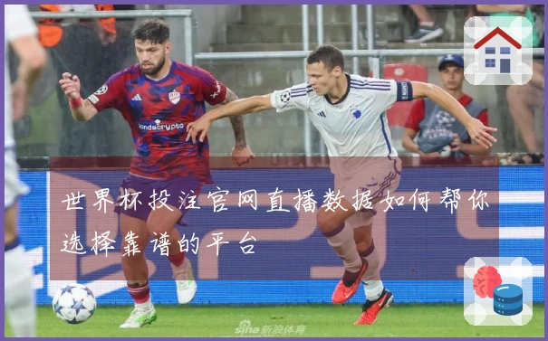 世界杯投注官网直播数据如何帮你选择靠谱的平台