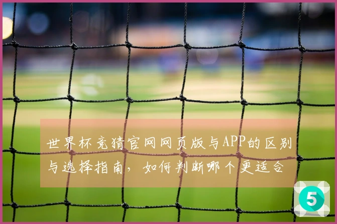 世界杯竞猜官网网页版与APP的区别与选择指南，如何判断哪个更适合你？