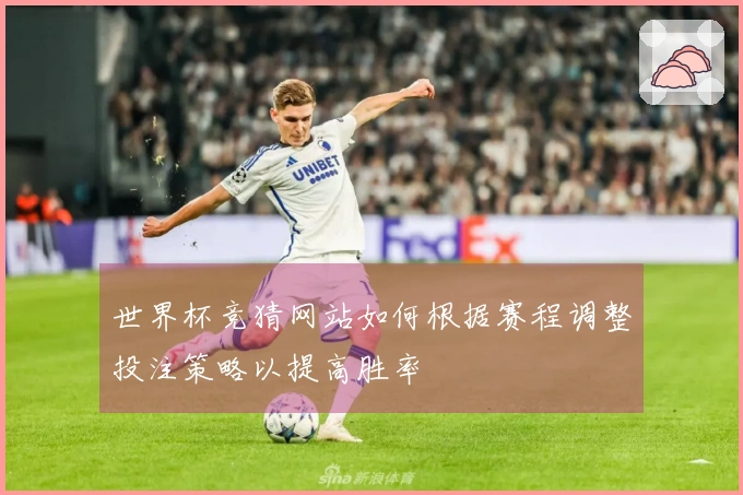 世界杯竞猜网站如何根据赛程调整投注策略以提高胜率