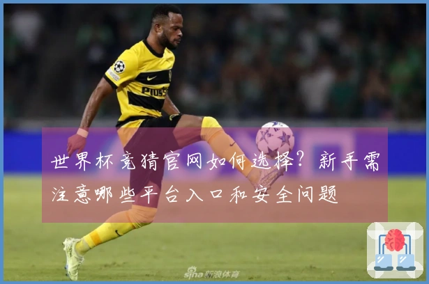 世界杯竞猜官网如何选择？新手需注意哪些平台入口和安全问题