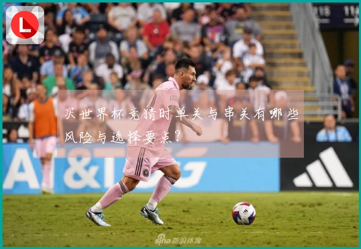 买世界杯竞猜时单关与串关有哪些风险与选择要点？